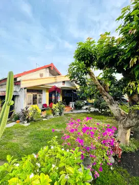 Jual Rumah Hunian Asri di Pare Kab Kediri Dengan View Pedesaan