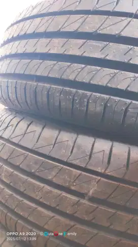 Ban 225/60 R18 nik 2022