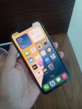 IPHONE XS MAX 256 GB EX INTER