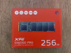 ADATA SSD XPG SX6000 PRO 256GB