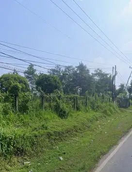 DiJual Cepat Tanah jl. Jonggol-Cariu kabBogor kec Jonggol TanahJonggol