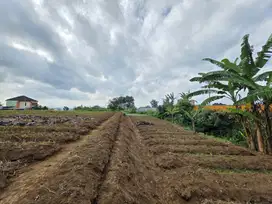 Kapling Strategis di Malang, Investasi Cuan Tiap Tahun