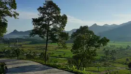 Jual tanah kavling dengan lokasi strategis didaerah Bogor