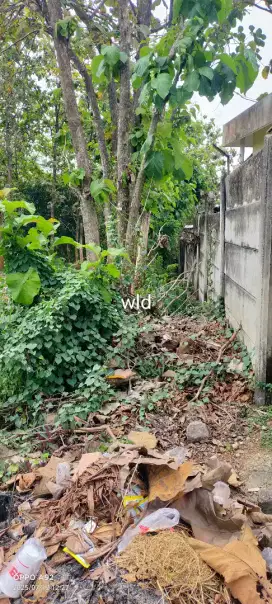 Jual tanah cocoknya buat kandang lokasi polokarto lt 1818m hrg 230jt