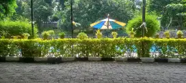 Dibutuhkan Segera !