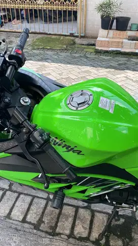 Kawasaki 250 fi