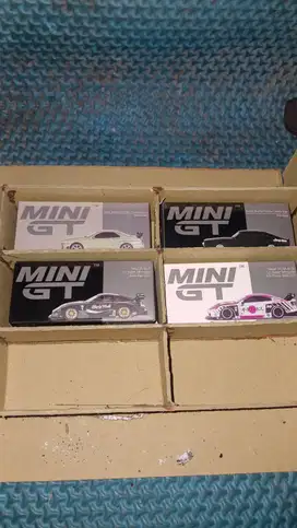 Minigt miniscale take all