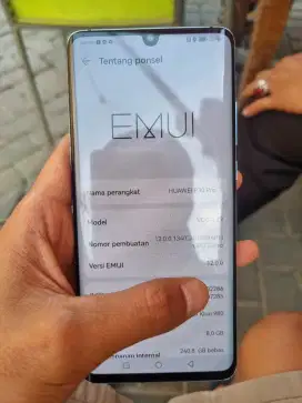 LCD original pabrik copotan HUAWEI P30 PRO BACA DESKRIPSI BOSKU