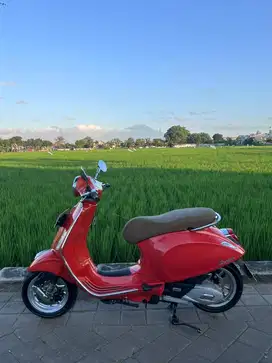 Primavera 2022 orange orisinil solo