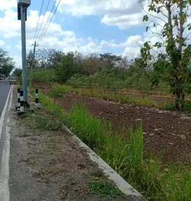 Lahan tegalan kosong