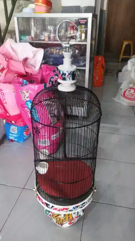 Sangkar Burung Lovebird