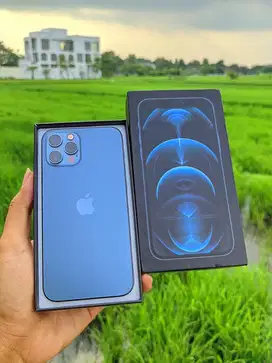 iPhone 12 Pro 256 GB Beacukai