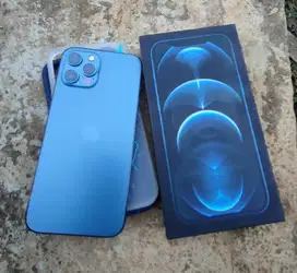 12promax (pacific blue) Inter BISA NEGO