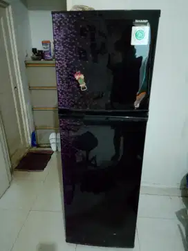 Kulkas Sharp 2 Pintu
