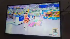 LG 49 inci Digital