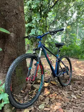 BU cepat Xtrada 6 ban 29ers murah