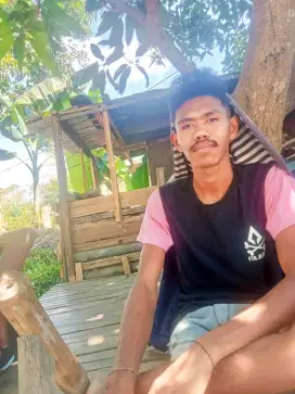Kerja jaga anjing