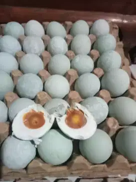 Telur Bebek Mentah Asli Ternak dan Telur Asin Maknyusss