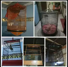 Kandang kotak & kandang murai