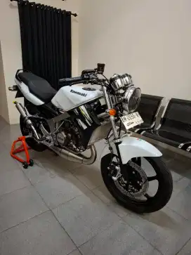 Ninja 2t albino