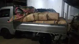 Jasa angkut Purworejo bibit besek tanaman hias