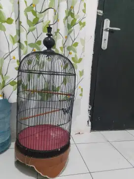 Kandang burung love bird tebok kayu masih bagus