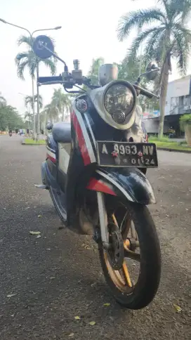 Jual aja fino karbu 2013