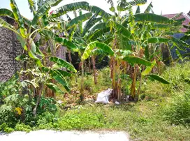 DIJUAL TANAH KAVLING LOKASI TOHUDAN COLOMADU