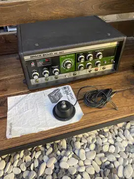 Roland Echo Re-201