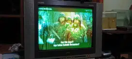 Akari flacio TV 21 inch murmer
