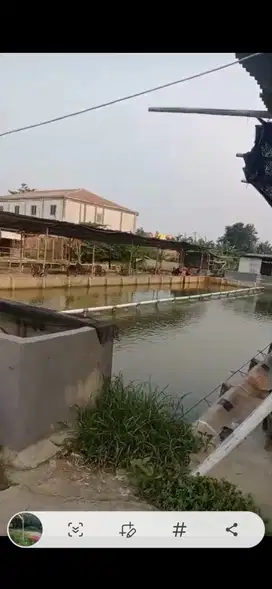 Tanah  Ada  Kontrakan Pemancingan Cocok Untuk Usaha
