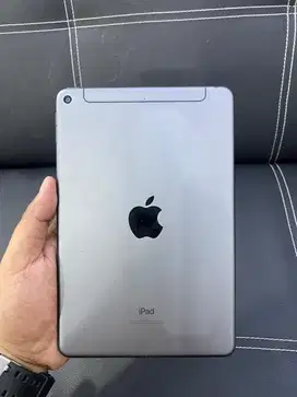 ipad mini 5 256 ibox
