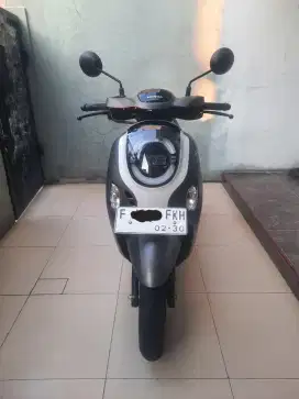 New SCOOPY FASHION 2024/2025
