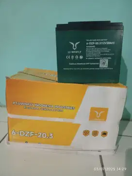 Aki seepda motor listrik