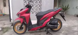 Vario 150 top Nyess