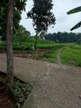 JUAL TANAH BUAT RM TINGGAL KONTRAKAN   GNSINDUR