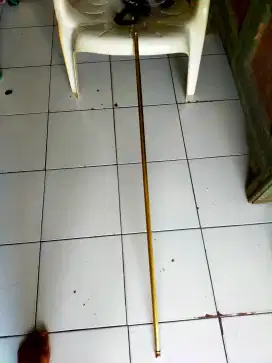 PIPA GORDEN KUNO/JADUL