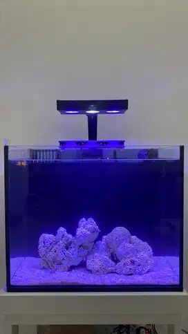 Aquarium Marine air laut/air tawar ikan akuarium