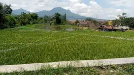 kavling cibiru Bandung timur Murah dan Luas