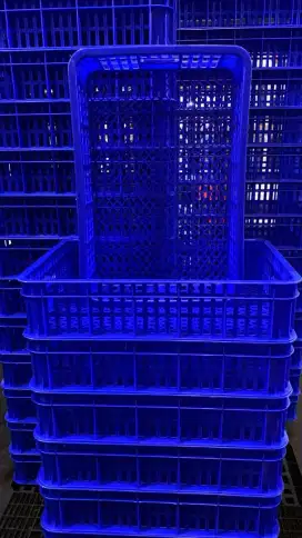 Kranjang box ikan