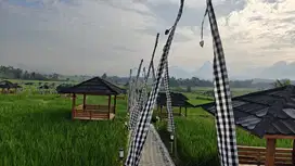 Kavling sawah Golden View