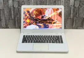 Asus X441Sa /Intel Celeron 3060/HDD 1TB /Ram 2 GB