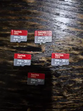 Sandisk Micro SD Ultra