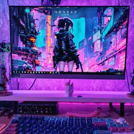 Monitor Lenovo 24 Inch