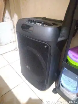 Bluetooth 12inch highpower