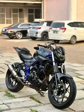 Yamaha MT-25 2018