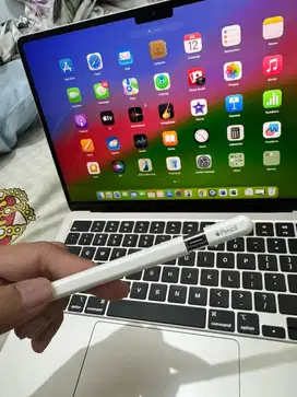 Apple Pencil USB-C Bekas - Like New!