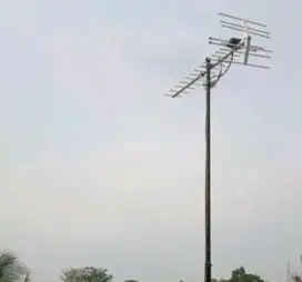 AHLI PASANG ANTENA