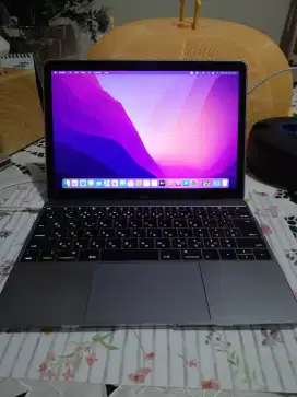 MacBook retina (2016) 8gb ssd256