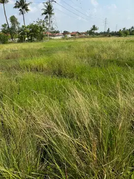 NEGO SAMPAI DEAL Tanah SHM di Pergudangan 19 Pakuhaji Tangerang
